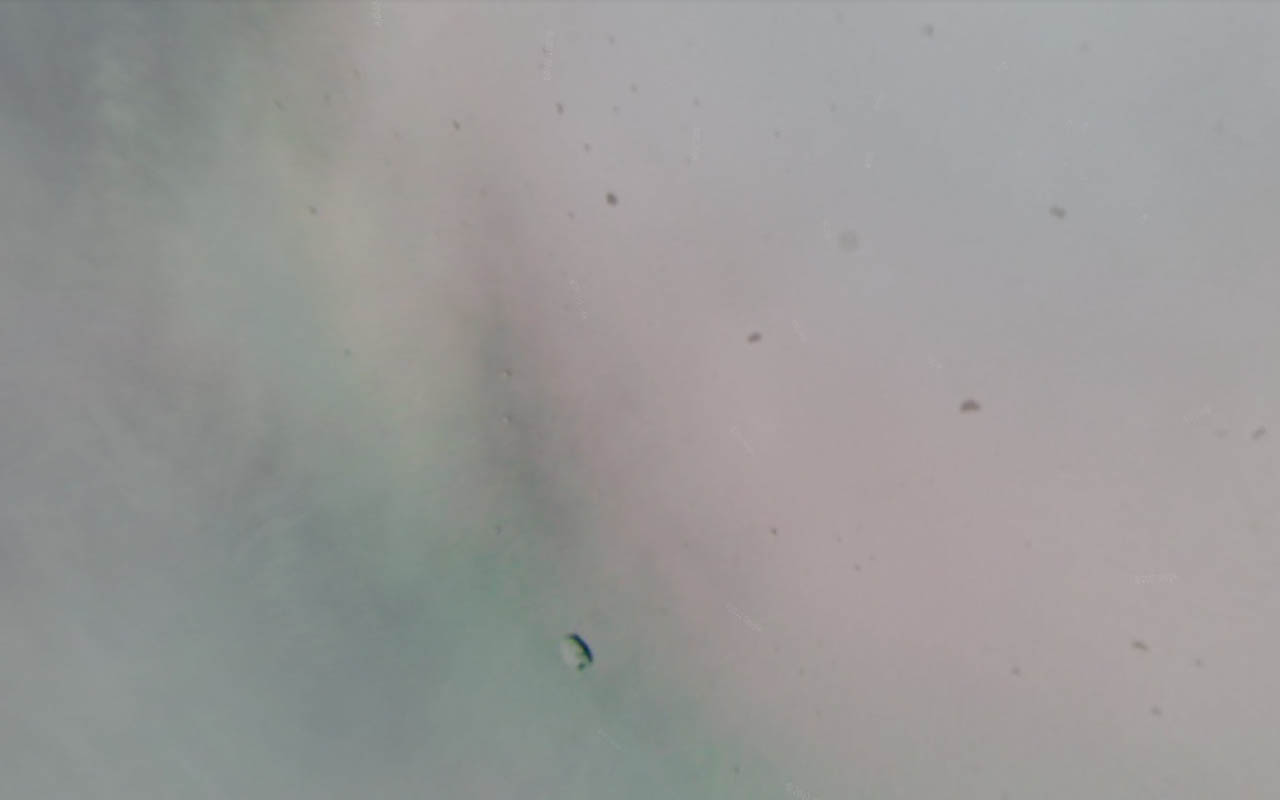 Rift_61