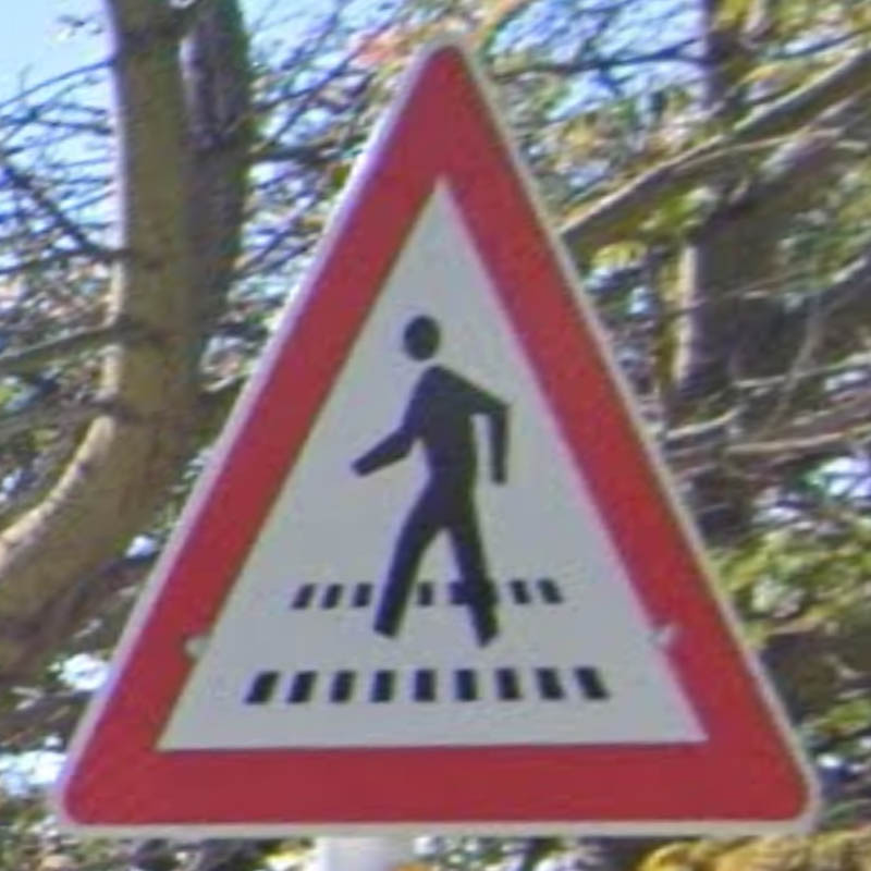 argentina_pedestrian
