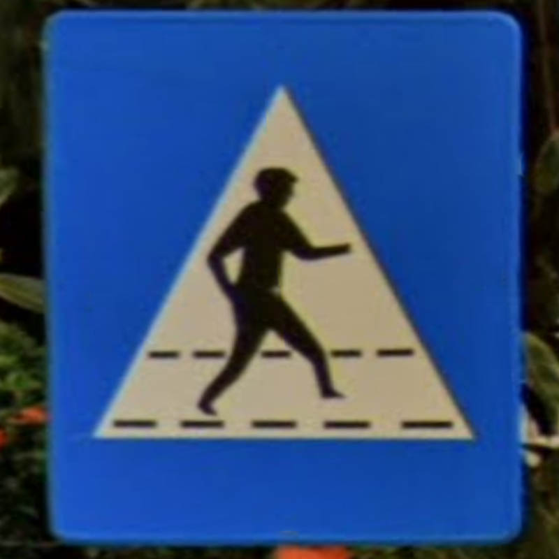 indonesia_pedestrian