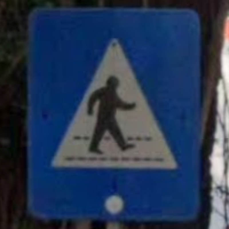 indonesia_pedestrian