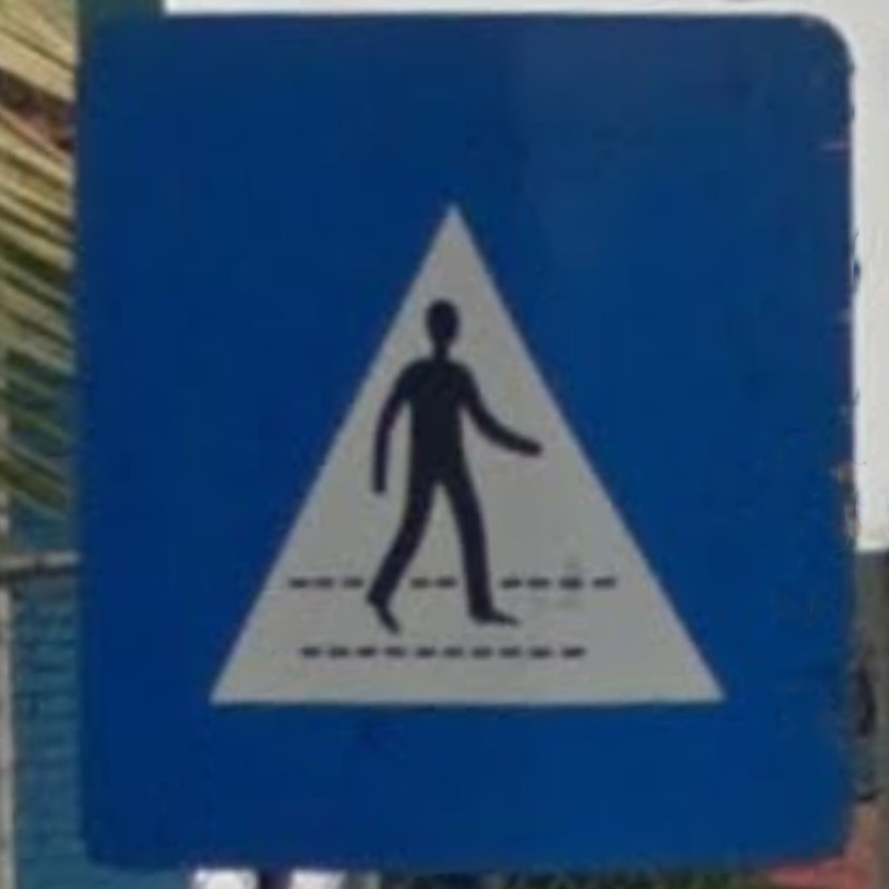 sri_lanka_pedestrian