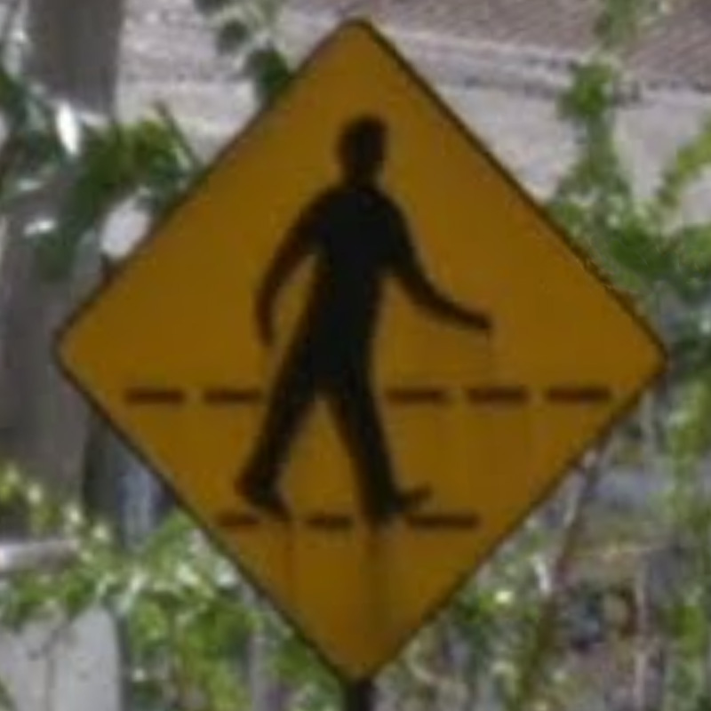 sri_lanka_pedestrian