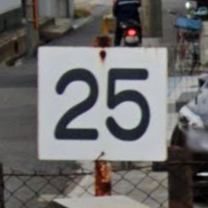 japan_speed_25