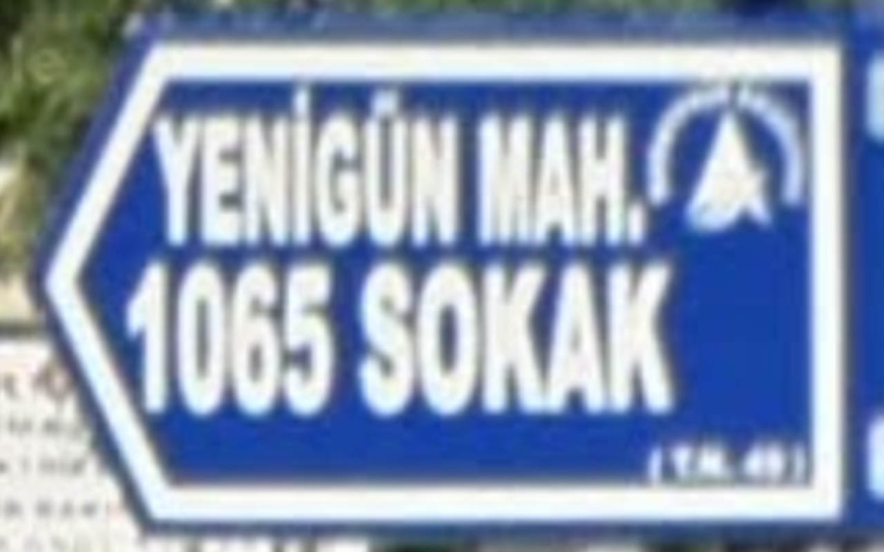 turkey_3