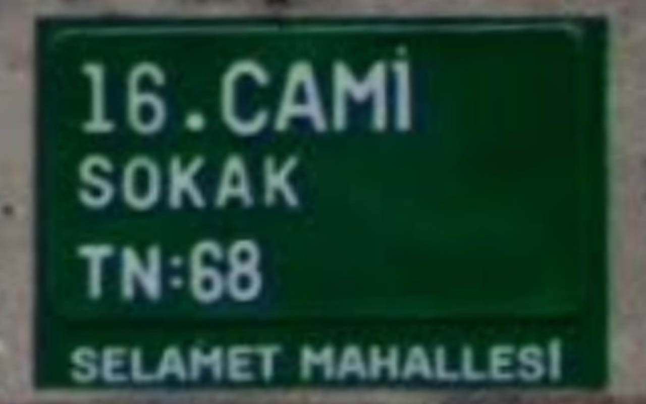 turkey_6