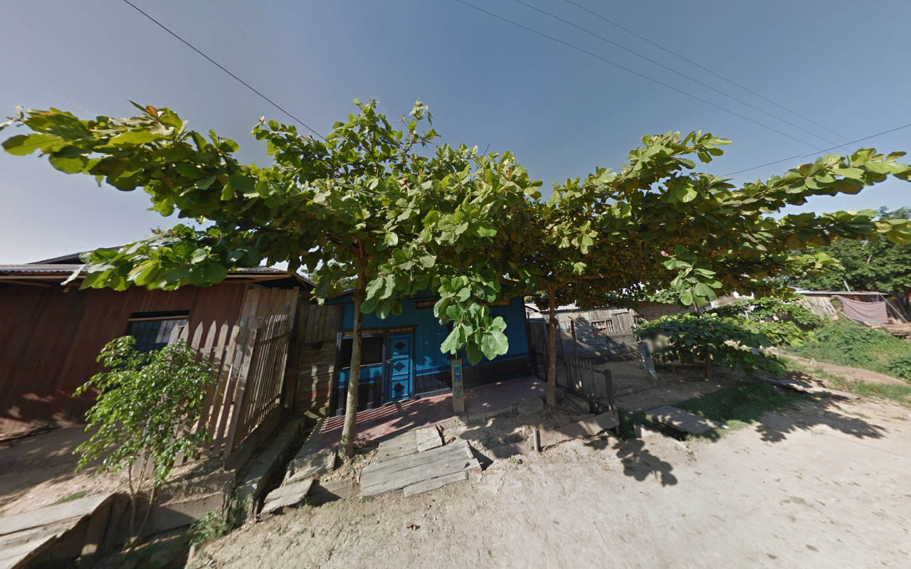 Tree_15