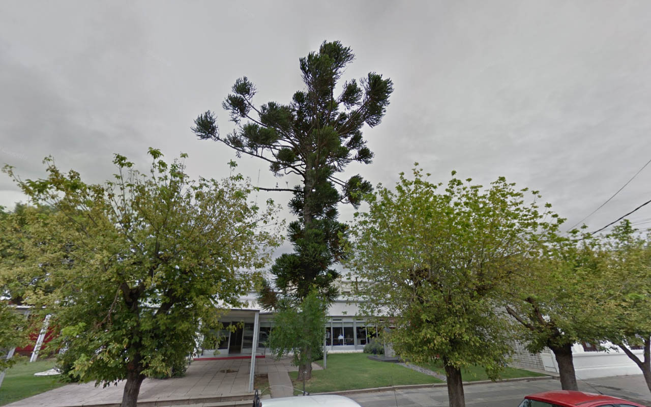 Tree_4