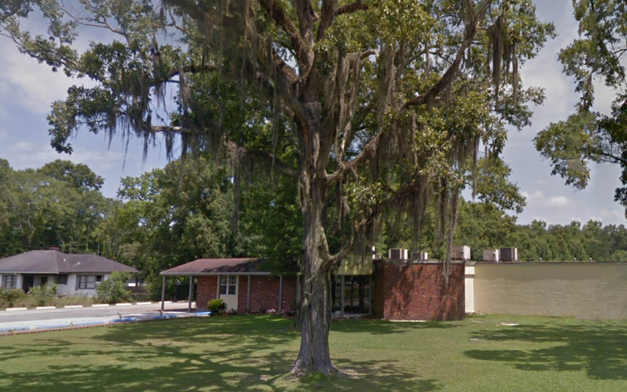 Tree_48